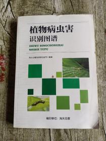 植物病虫害识别图谱