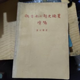 魏晋南北朝史论丛，续编