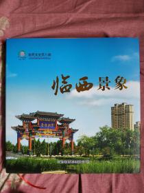 临西景象（窗台下）