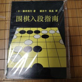 围棋入段指南