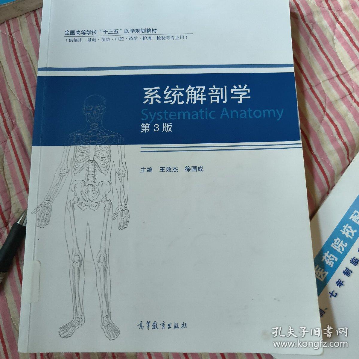 系统解剖学（第3版）