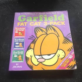 Garfield Fat Cat 3-Pack[加菲猫肥猫,第1卷]