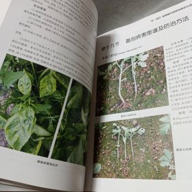 中国植保病虫草害图谱大全暨防治宝典