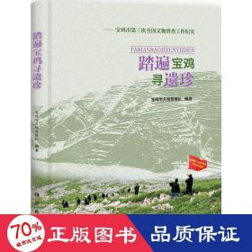 宝鸡市第三次全国文物普查工作纪实：踏遍宝鸡寻遗珍