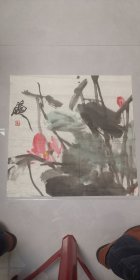 著名画家（张立辰）62*62……早期花卉作品