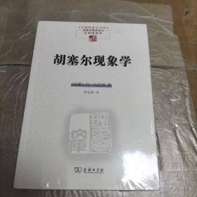 胡塞尔现象学(中国现象学文库)