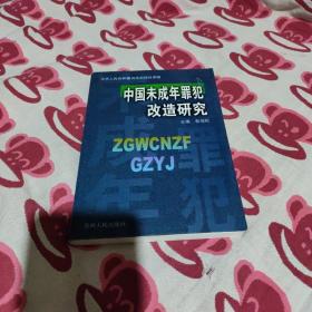 中国未成年罪犯改造研究