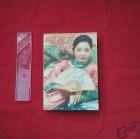 邓丽君画传
