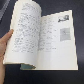 松伯美術館所蔵作品集 日本原版《上村松园 松篁 淳之展》