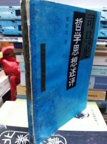 哲学思想述评