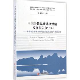 中国少数民族地区经济发展报告（2014）：集中连片特困民族地区的区域发展与扶贫攻坚