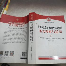 中华人民共和国民法总则 条文理解与适用（套装上下册）