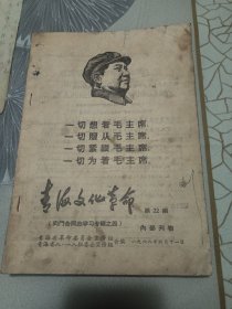 青海文化革命 第22期