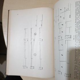 DIE ROLLE DER EINZELNEN LABYRINTHREZEPTOREN BEI DER ORIENTATION VON AUGEN UND KOPF IM RAUME