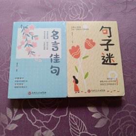 全2册名言佳句 句子迷 名人名言大全书小学初中经典语录格言作文写作素材好词好句好段大全青少年语文佳句摘抄