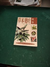 室內(nèi)名貴花卉叢書--草本觀葉植物
