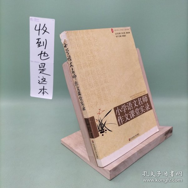 大夏书系·赢在课堂·小学语文名师作文课堂实录