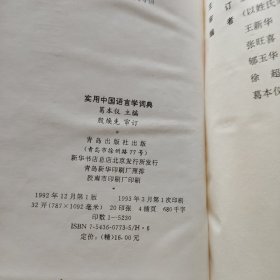 实用中国语言学词典