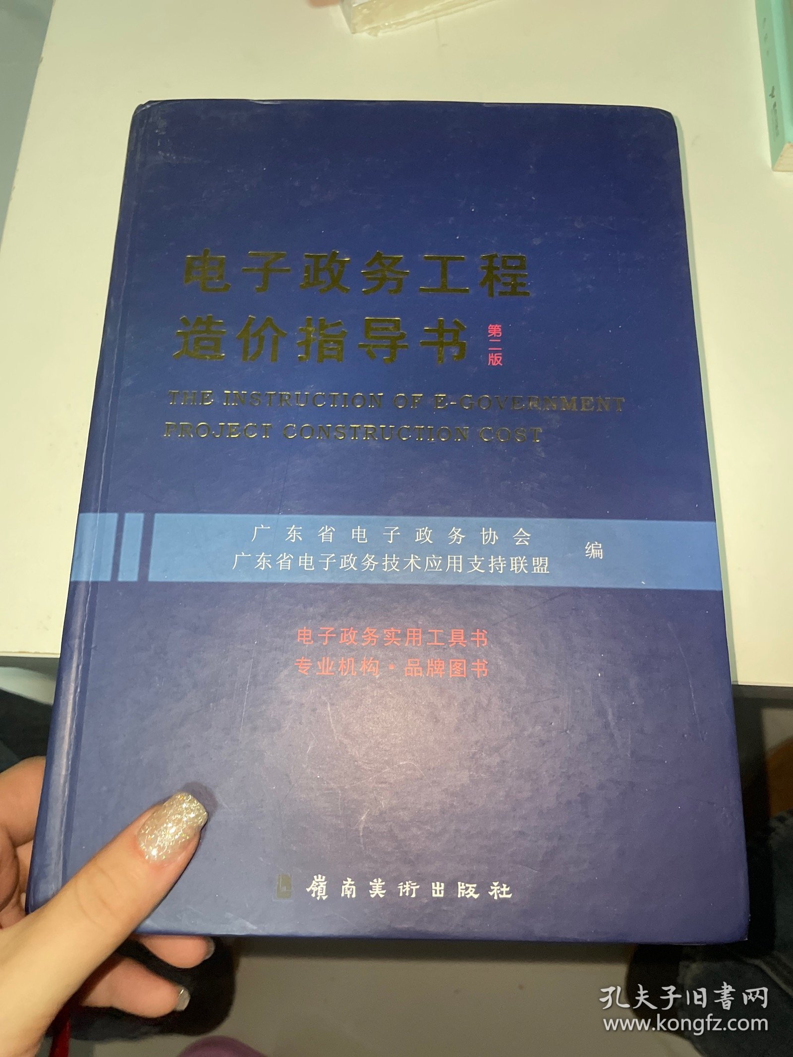 电子政务工程造价指导书 （第二版）书角破损