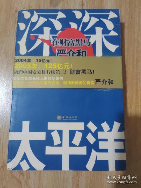 深深太平洋：在财富黑马严介和身边的800天