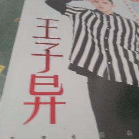 王子异