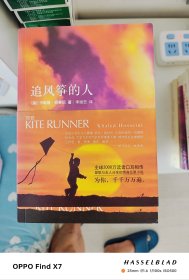 追风筝的人