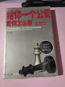 给你一个公司，看你怎么管2