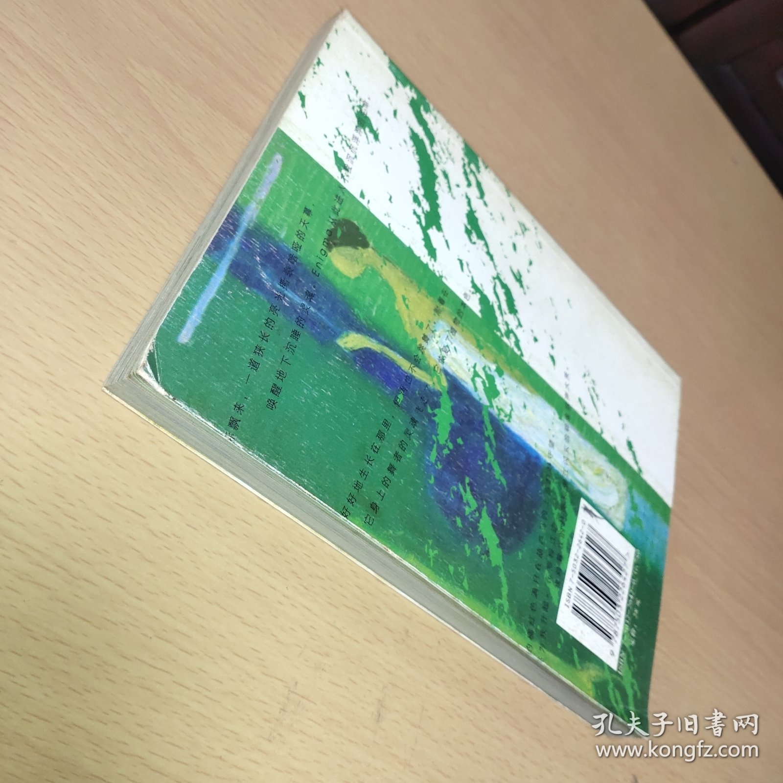 水灵魂:醉在西双版纳的日子