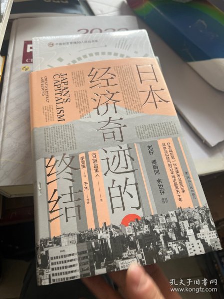 日本经济奇迹的终结(日本经济类经典著作,复盘日本经济发展路径,思索中国经济发展走向)