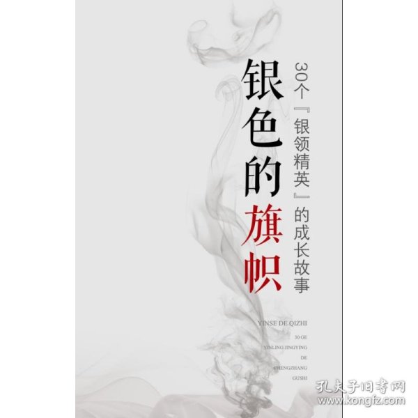 银色的旗帜（30个“银领精英”的成长故事）