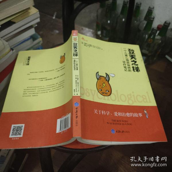 登天之梯：一个儿童心理咨询师的诊疗笔记