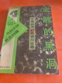 金融的黑洞:中国经济的困惑与出路