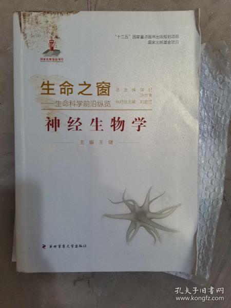 生命之窗·生命科学前沿纵览：神经生物学（小16开A221007）