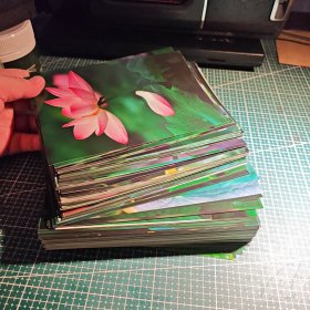 荷花照片，四川省企业家摄影协会主席陈历谋摄，200张左右。7寸大小