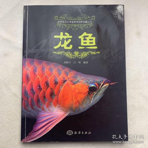 观赏鱼文化·鉴赏·饲养珍藏丛书：龙鱼