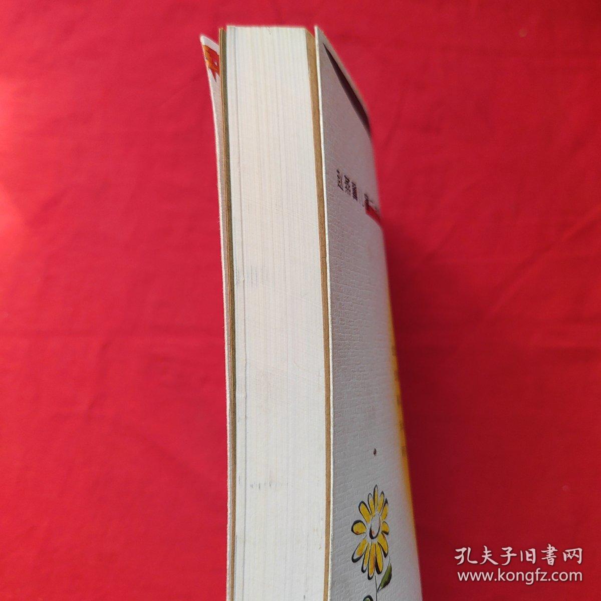 赵燕翼儿童文学集：天山少年传奇