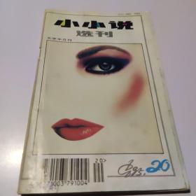 小小说选刊1995/20