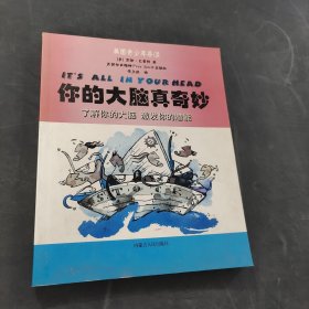 你的大脑真奇妙
