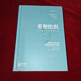 重塑组织 进化型组织的创建之道