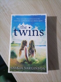 The twins英文小說