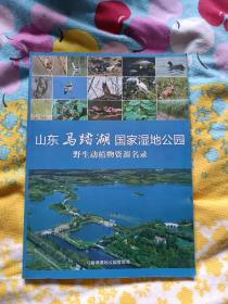 山东马踏湖国家湿地公园野生动植物资源名录