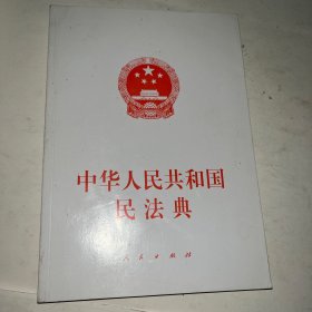 中华人民共和国民法典（大字本）（2020年6月）