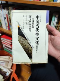 中国当代性文化(精华本)：中国两万例“性文明”调查报告