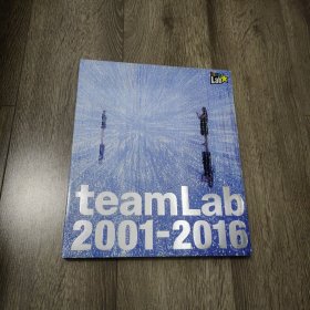 teamLab 2001-2016