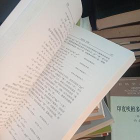 中国少数民族语言参考语法研究系列丛书：遮放载瓦语参考语法