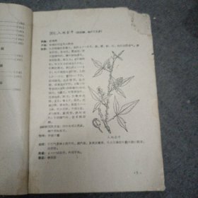 60年: 南宁市药物志 （第二辑）缺封皮.内容全 带有勘误表