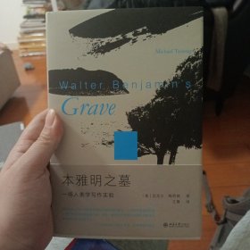 本雅明之墓：一场人类学写作实验 迈克尔·陶西格带您聆听微妙之处，奇事不再遥远