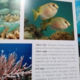 the great barricr reef 精装本