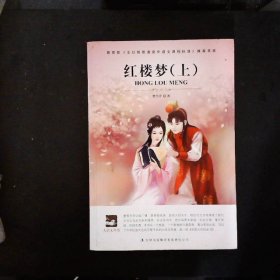 名师审定版 大语文 红楼梦(上下）