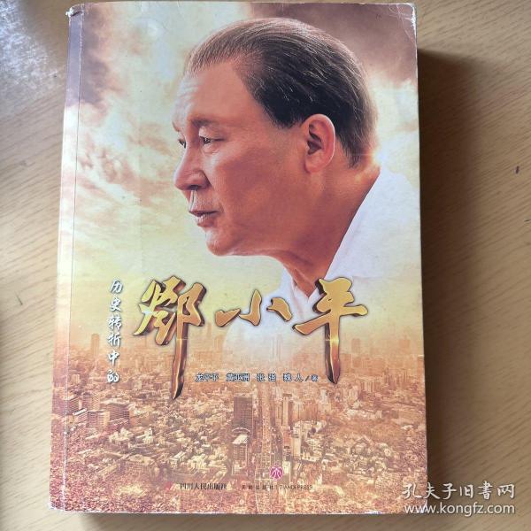 历史转折中的邓小平